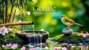 Healing Music for Anxiety Disorders, Meditation Music, Nature Sounds, Reduce Stress, Calming Music