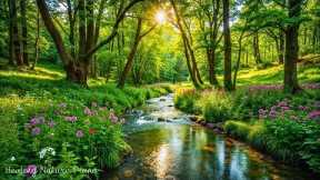 Nature’s Most Relaxing Soundtrack 🌿 Healing Relaxing Music for Stress, Calming Music for Peace