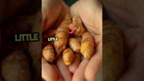 Best Foods for Managing Diabetic Neuropathy | Reduce Nerve Pain Naturally