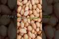 4 Reasons You Should Eat Peanuts Daily