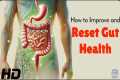Gut Health Reset: How to Rebuild Your 
