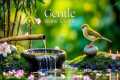 Healing Music for Anxiety Disorders,