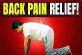 Daily Exercise for BACK PAIN | 15-Min 