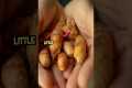 Best Foods for Managing Diabetic