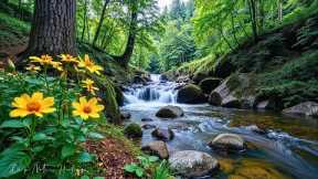 Reduce Anxiety Instantly🌿Gentle Healing Music for Health & Calming the Nervous System, Sleep music