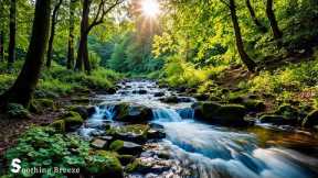 Healing Harmony: Music for the Heart 🌿 Relaxing music to reduce stress