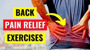 Back Pain Relief Exercises in 5 Min