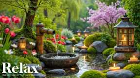 Relaxing Music & Water Sounds for Meditation 🌿 Calm Mind, Anxiety Relief, Deep Sleep