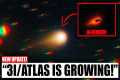 NASA's New Report Reveals That