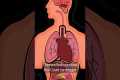 Long Covid Study Links Lingering
