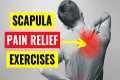Scapula & Rhomboid Pain Relief