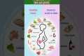 Pregnancy Food Eat and Avoid