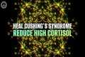 Heal Cushing's Syndrome | Reduce High 