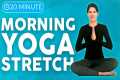 20 minute Morning Yoga Stretch for