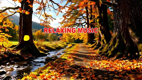 Reduce stress and feeling calm music with beautiful autumn 