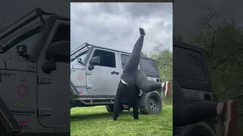 Hilarious Yoga Poses | 50 Fails