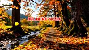 Reduce stress and feeling calm music with beautiful autumn 