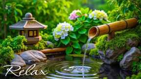 Relaxing Music + Peaceful Water Sounds , Reduce Stress🌿 Heals the Body and Soul - Deep Sleep Music