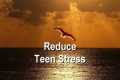 Teens Reduce Stress and Lower Anger