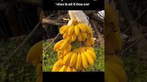 Amazing Facts About Food || Top 5 Health Hacks You Must Try 😱✨ #food #facts #shorts