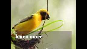 100 days of mental health hacks #89 #Shorts