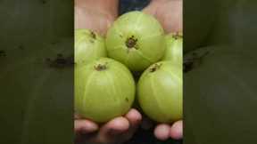 Diabolik Sugar Care Liquid | Sugar-Free Living: Tips and Tricks for Diabetics