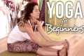 Yoga For Beginners - Gentle Full Body 