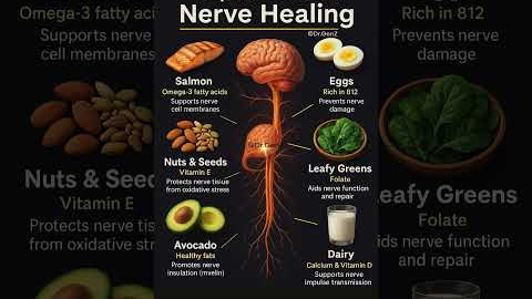 Top 10 Foods to Heal Your Nerves Naturally | Nerve Healing Foods