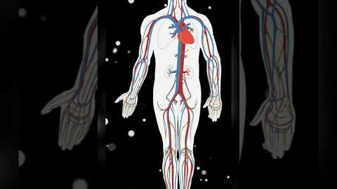 Central Nervous System Healing Music | Instant Relief Music | Reduce Stress & Anxiety Binaural Beats