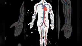 Central Nervous System Healing Music | Instant Relief Music | Reduce Stress & Anxiety Binaural Beats