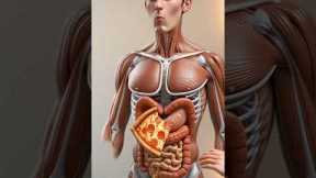 Inside Your Stomach After Eating Junk Food | 3D Body Animation