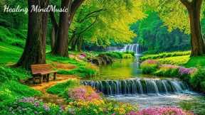 Peaceful Piano Music for Mind 🌿 Relaxing Nature Sounds Help Reduce Stress & Stop Overthinking