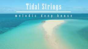 Tidal Strings   melodic deep house   commaik music