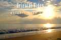 Oriental Tides - melodic deep house - 