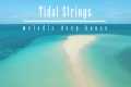 Tidal Strings   melodic deep house  
