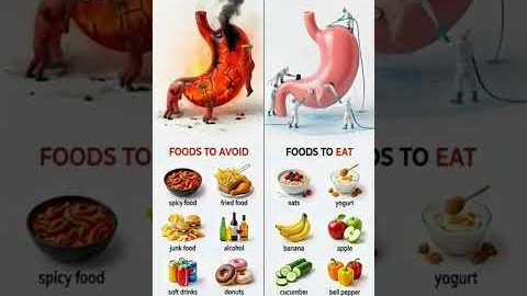 Stomach Care Guide 🧠 | Best & Worst Foods for a Healthy Digestive System#shorts