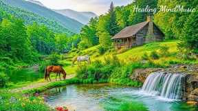 Soothing Piano Music 🌿 Beautiful Relaxing Music to Reduce Stress, Stop Overthinking, Deep Sleep