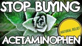 Arthritis Pain? Stop Buying Acetaminophen and Flood Your Joints with Natural Relief