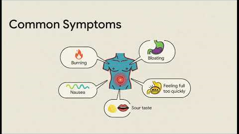 Gut Health 101: Foods to Eat & Avoid for Better Digestion