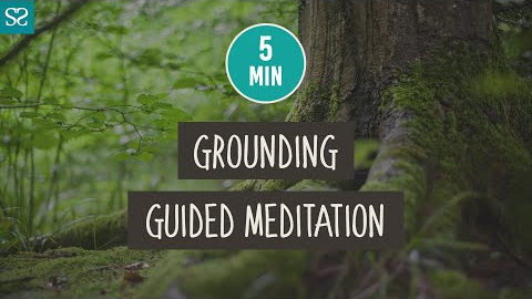 5 Minute Grounding GUIDED MEDITATION - Reduce Anxiety and Stress - Mini-Meditation