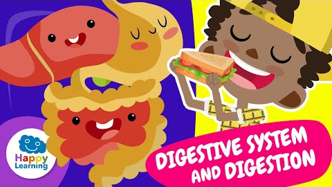 DIGESTIVE SYSTEM AND DIGESTION | Educational Videos for Children | Happy Learning