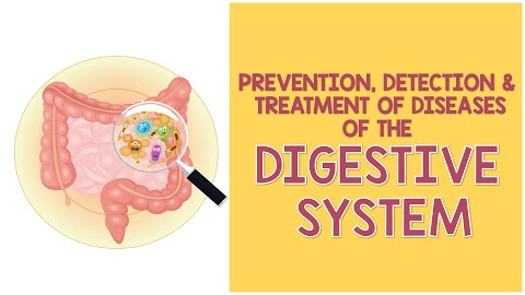 Prevention, Detection, and Treatment of Diseases of the Digestive System | Biology Animation