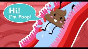 Biology | What's In Our Digestive System? Explained | Human Body | Science for Kids