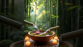 Healing and soft music for stress relief #relax #bamboo1 #relaxing #meditationmusic #softmusic
