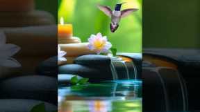 Relaxing Music for Stress Relief🌿 #relaxing #sleepmusic #stressrelief