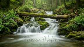 Relaxing music | Relaxing guitar | Yoga music | Reduce stress | Relaxing | Deep relaxation