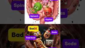GUT HEALTH: GOOD vs BAD FOODS 🥬🍔