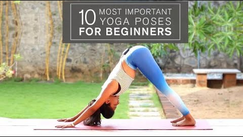 Beginners Yoga Series: 10 Most Important Yoga Poses for Beginners
