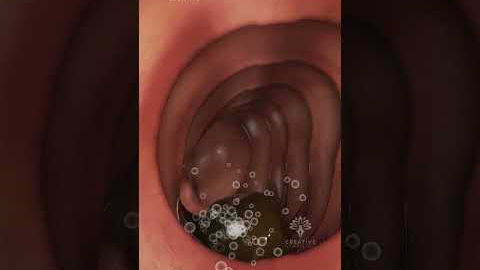 How Your Body Turns Food Into Poop: The Digestive Journey #shorts #viralvideo - creativelearning3d