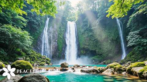 Music therapy helps reduce anxiety 🌿 Stop overthinking, reduce stress